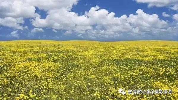微信图片_20190624090927.jpg