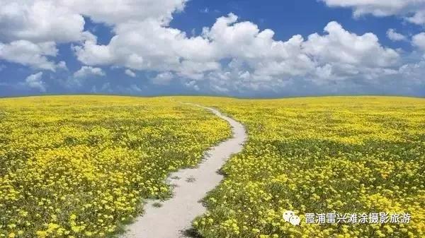 微信图片_20190624090948.jpg