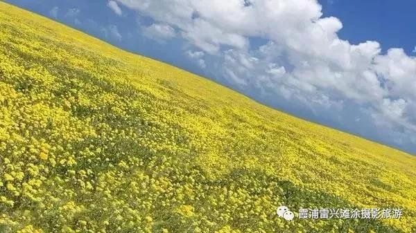 微信图片_20190624091150.jpg